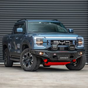 Hamer King Series Bull Bar BYD Shark 6