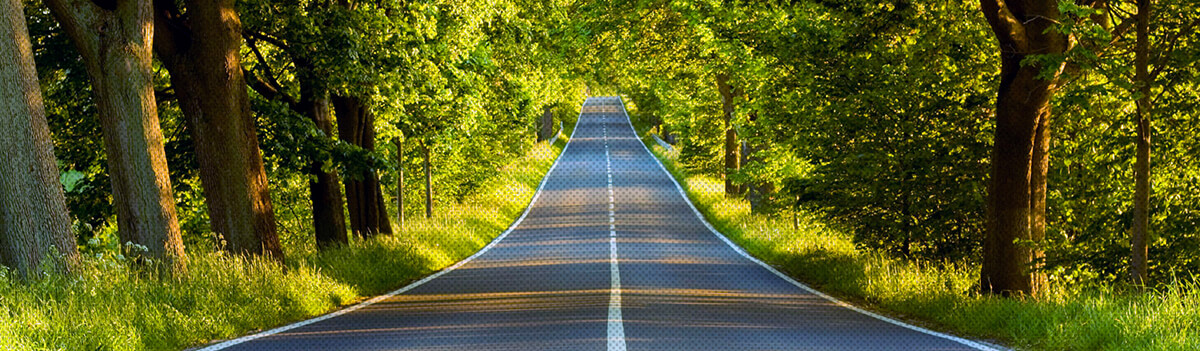 CSR-and-sustainability-at-autocraze