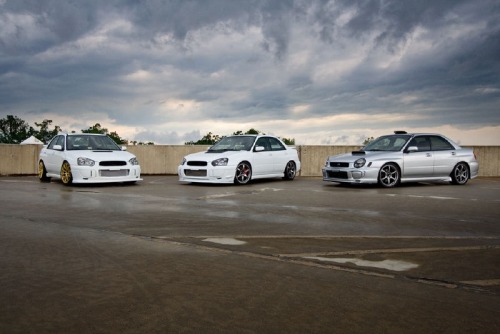 White Rims